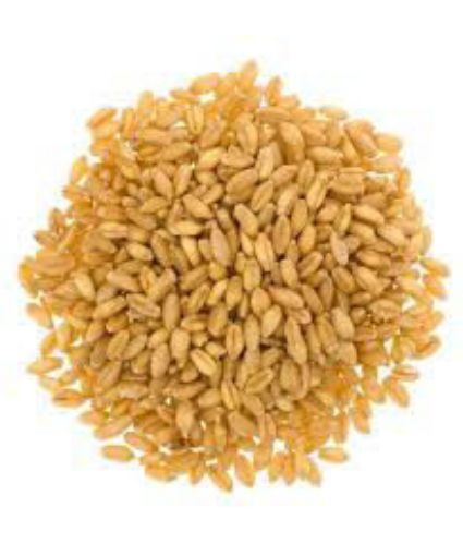 Picture of B2N WHOLE GRAIN WHEAT 2LB