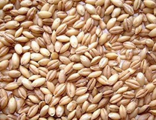 Picture of ANKUR HALEEM WHEAT 2LB