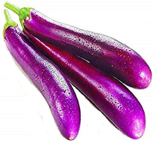 Picture of Egg Plant