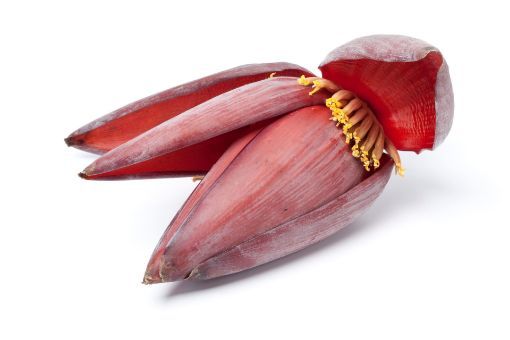 Picture of Banana Flower