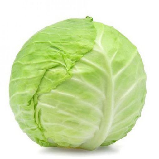 Picture of Cabbage