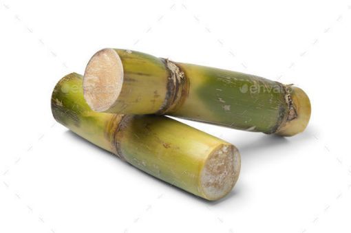 Picture of Sugar Cane Green