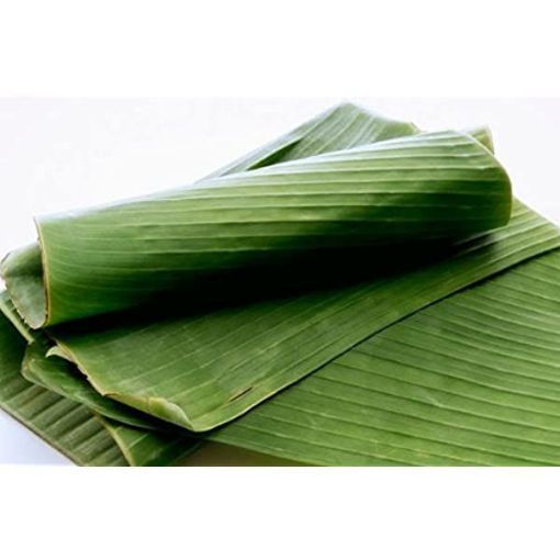Picture of Banana Leaves