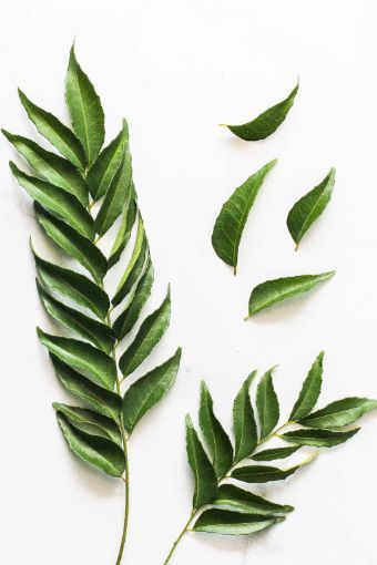 Picture of Curry Leaves