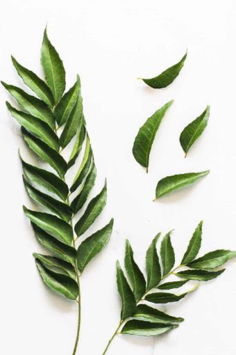 Picture of Curry Leaves Pck