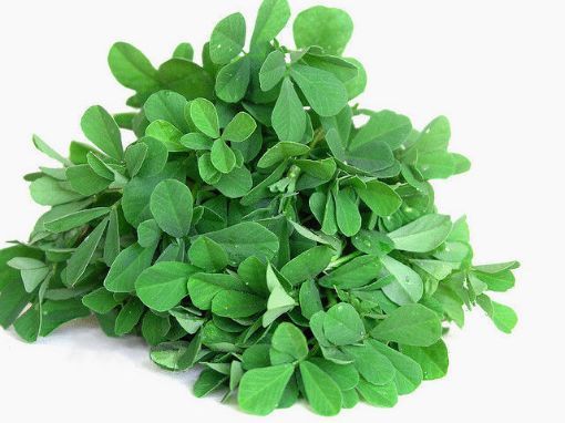 Picture of Methi Leaves