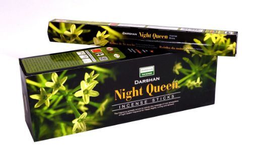 Picture of NIGHT  QUEEN  6PKS