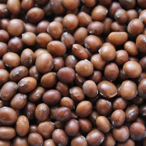Picture of RATO BHALE BROWN SOYABEAN 1KG