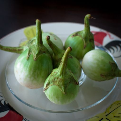 Picture of Eggplant Thai