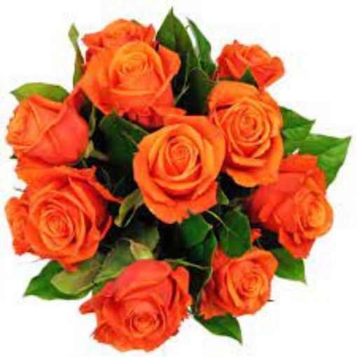 Picture of Roses Orange