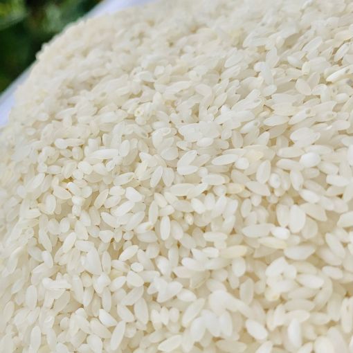 Picture of TF Seeraga Samba Rice 10lb