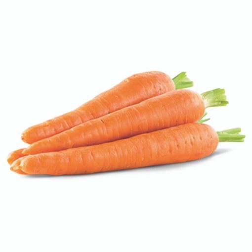 Picture of Carrot Jumbo