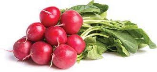 Picture of Radish Red Cello 1lb