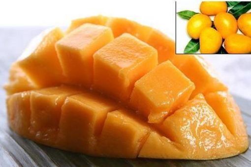 Picture of Laxmi FROZEN ALPHONSO MANGO PULP 1KG