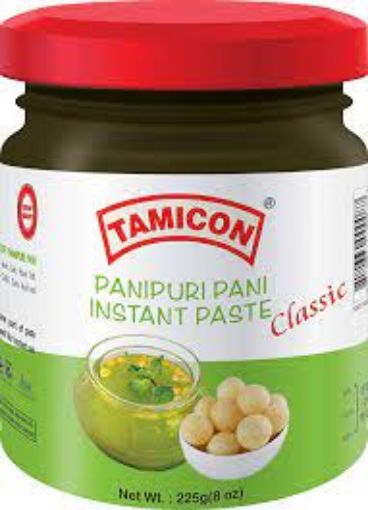 Picture of PANI PURI PASTE 220 GM