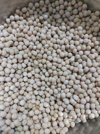 Picture of Swagat white peas 4lb