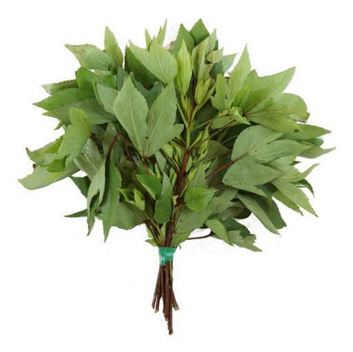 Picture of Gongura Leaves