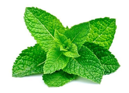 Picture of Mint per lb