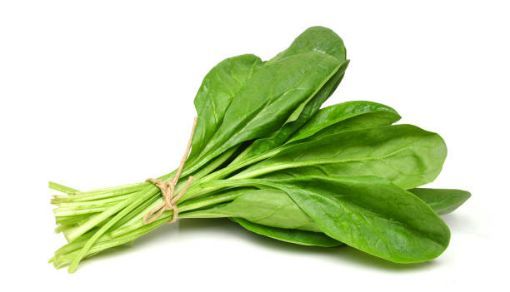 Picture of Spinach Bunch