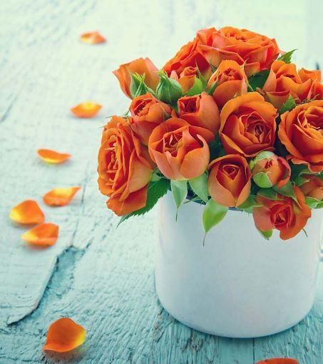 Picture of Orange Roses