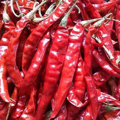 Picture of TF guntur red chillie200gm