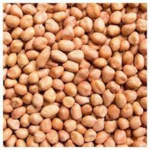 Picture of Raw Peanuts