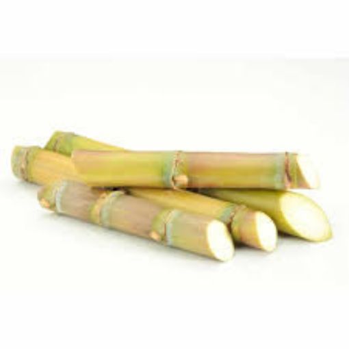 Picture of Sugercane small