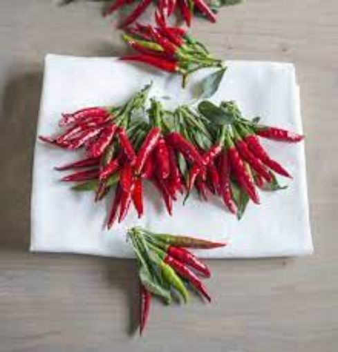 Picture of Thai Chili