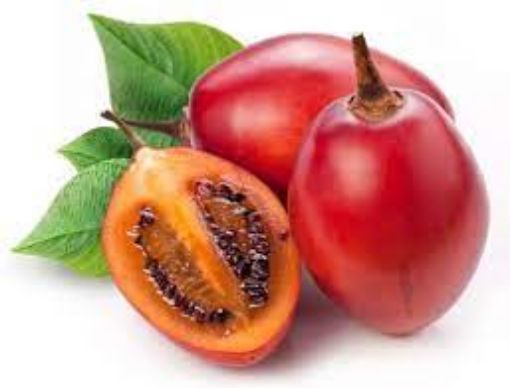 Picture of Tree Tomato(Tomarillo)