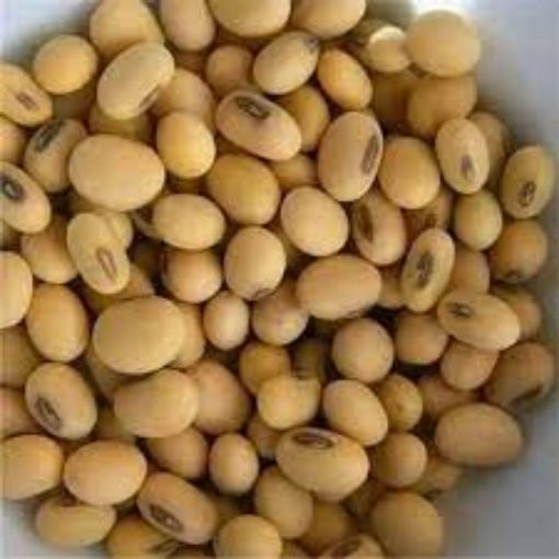 Picture of MT EVEREST BROWN SOYABEAN 2LB