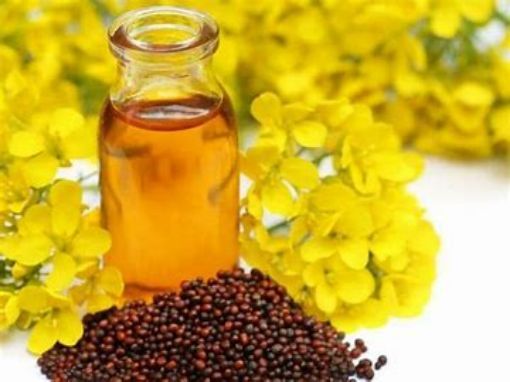 Picture of MUSTARD OIL 1 LT