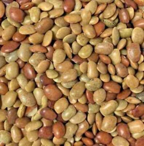 Picture of Bansi Horse Gram 2LB