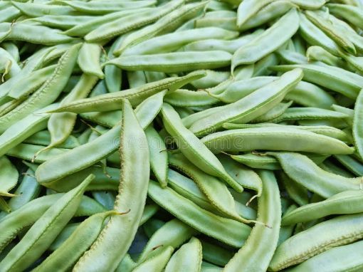 Picture of BEANS VALOR FLAT