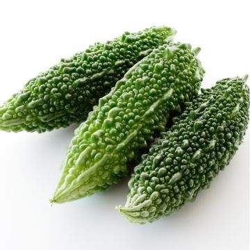 Picture of BITTER GOURD/ KARELA