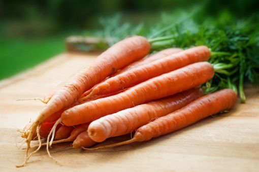 Picture of Carrot /Gajar