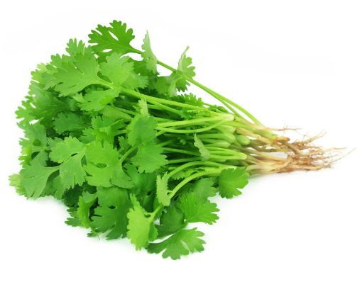 Picture of Cilantro/ Dhania[EACH]