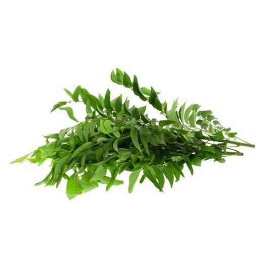 Picture of Curry Leaves[EACH]