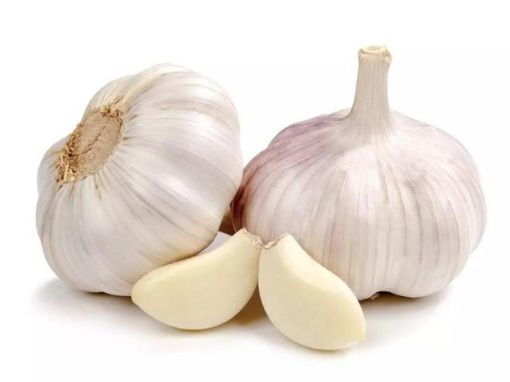 Picture of GARLIC 5PCS