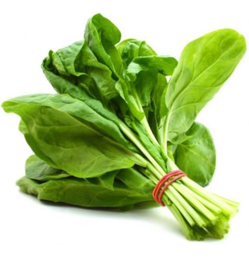 Picture of SPINACH/PALAK