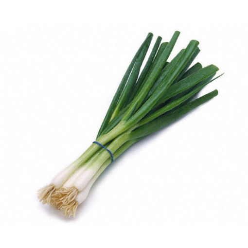 Picture of Green Onion