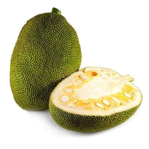 Picture of JACK FRUIT MX