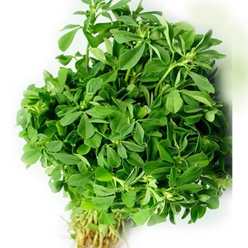 Picture of METHI LEAVES[EACH]