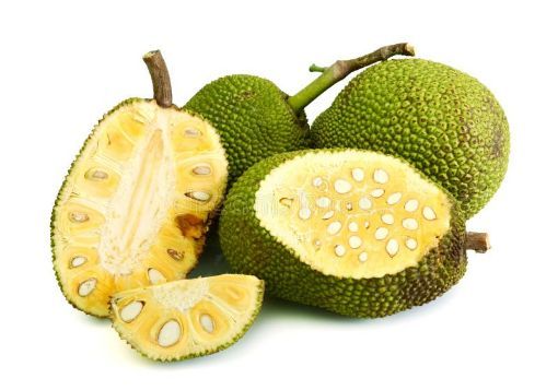 Picture of LX. JACKFRUIT CUTS 312GM