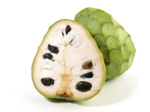 Picture of Cherimoya 