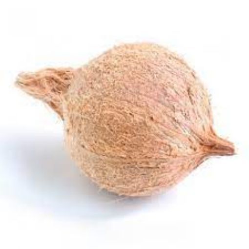 Picture of SWAD COCONUT WHOLE PUJA 20PCS