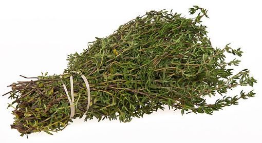 Picture of Thyme 