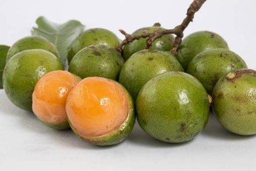 Picture of Quenepas