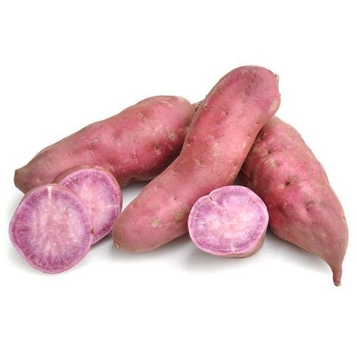 Picture of Purple Yams USA