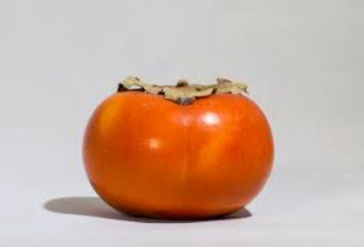Picture of Persimmon Fuyu