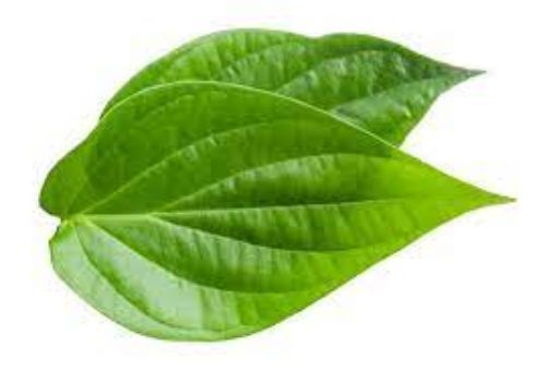 Picture of Pan Leaf